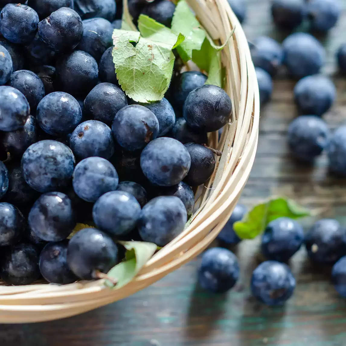 Benefits and Uses of Blueberry  