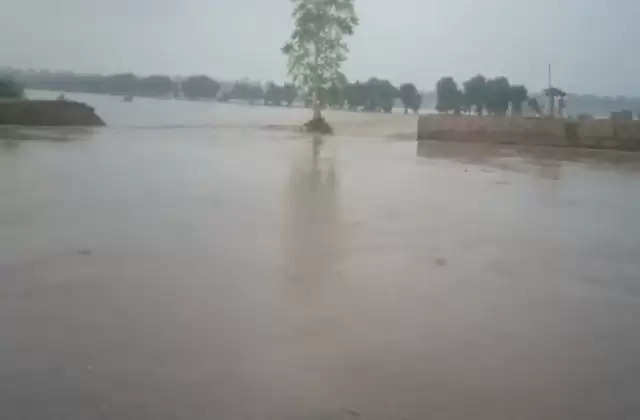 Haryana Flood  