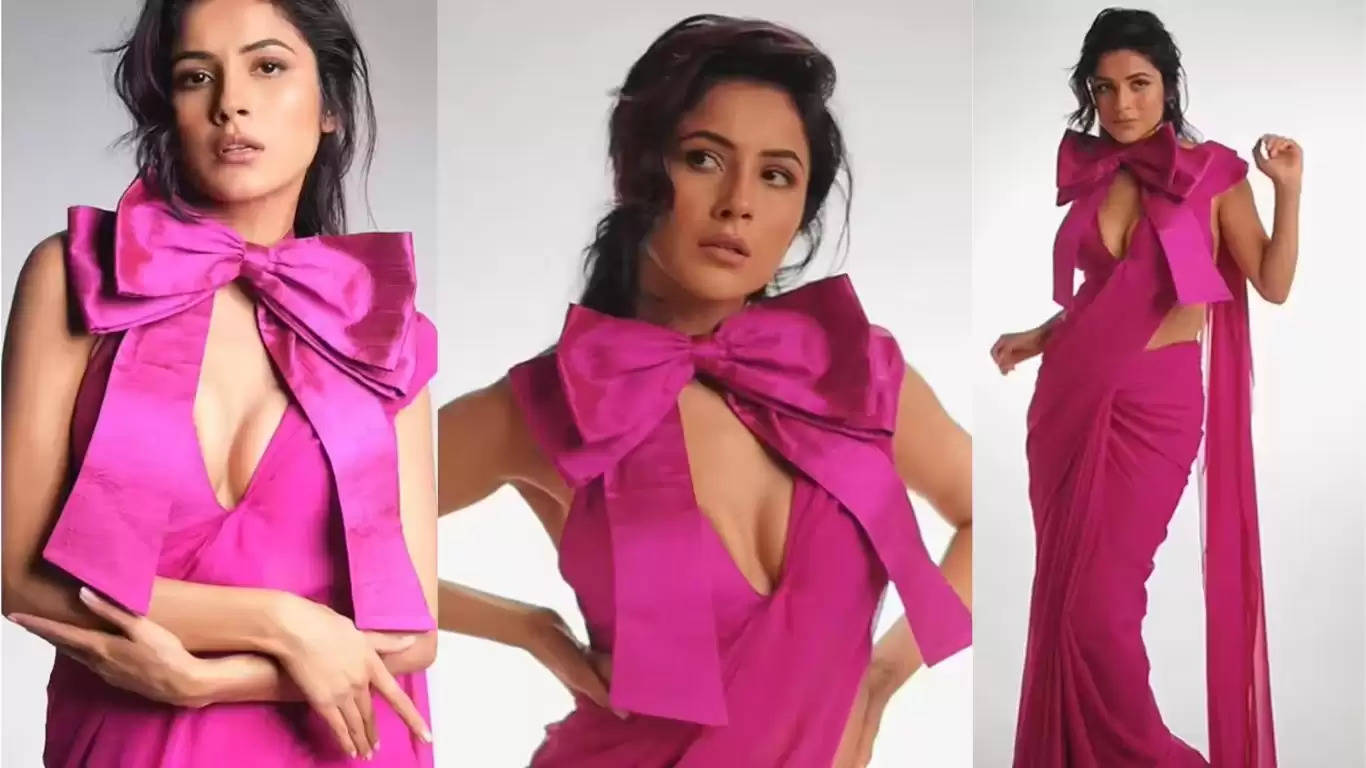 Shehnaaz Gill Pink Saree Photoshoot 