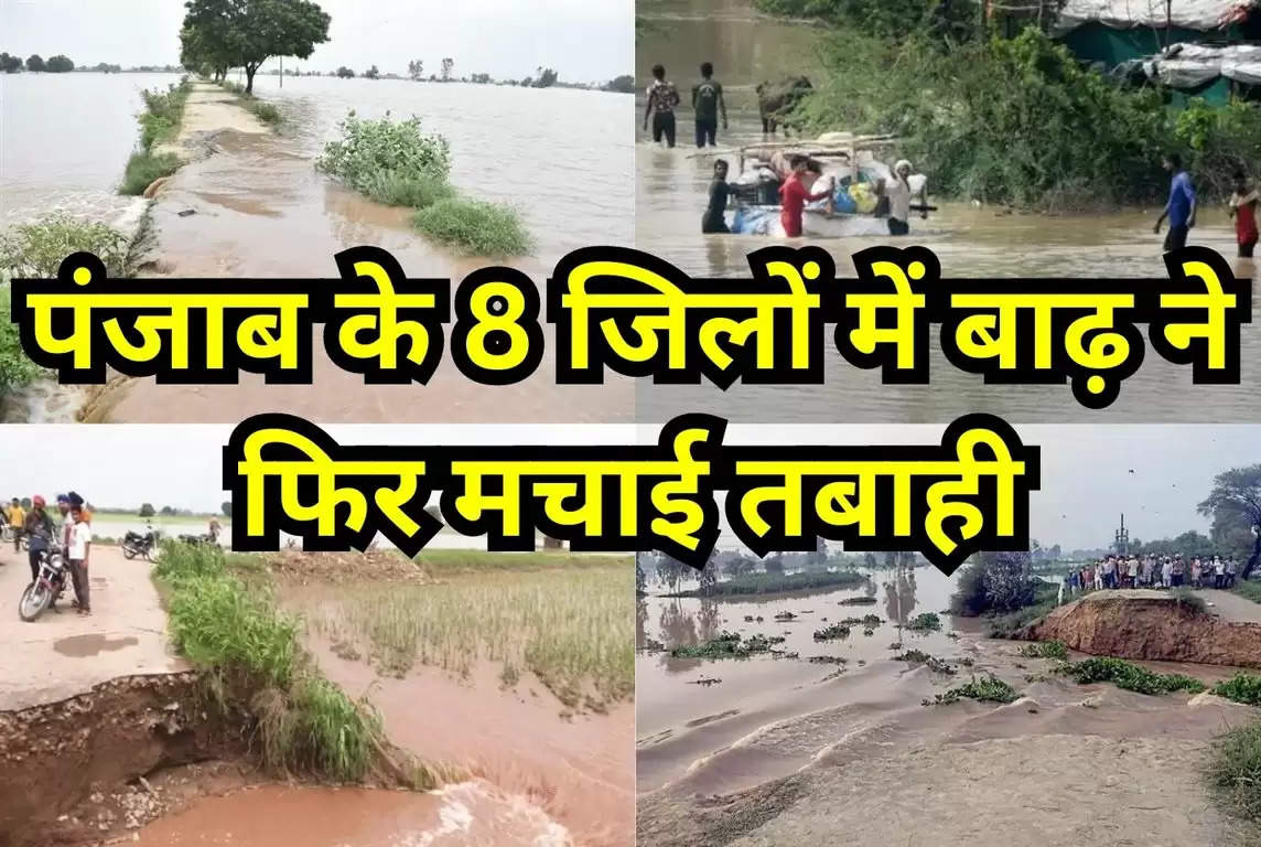 Flood in Punjab