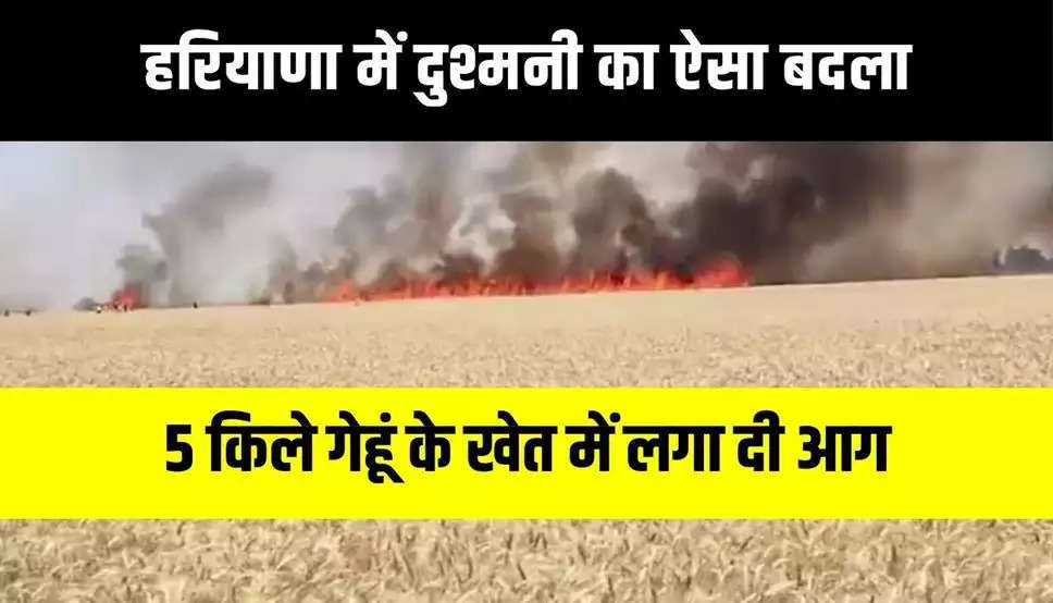 Haryana news : हरियाणा में दुश्मनी का ऐसा बदला, 5 किले गेहूं के खेत में लगा दी आग, जाने पूरा मामला