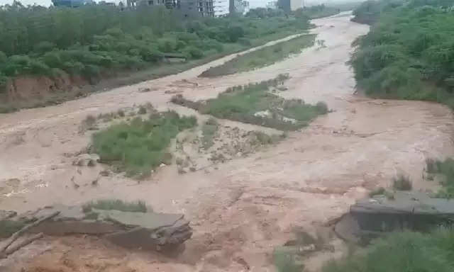 Haryana Flood Updates 