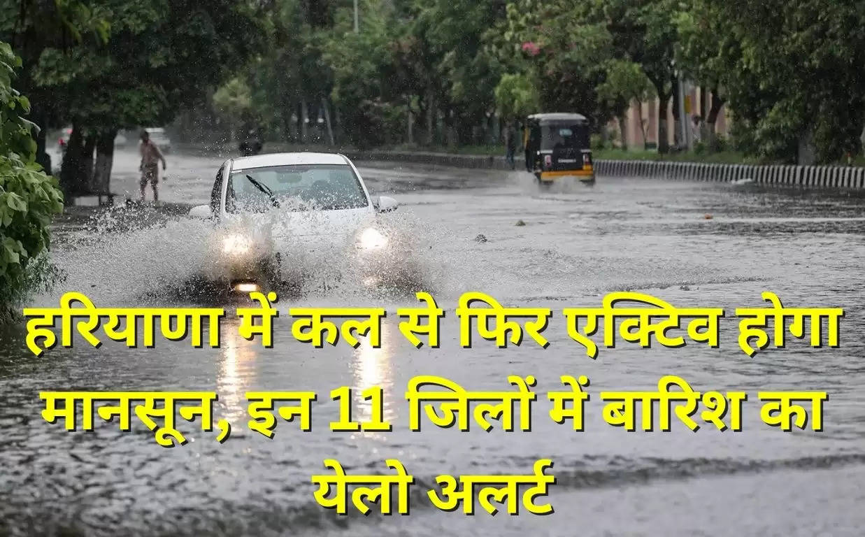 Haryana Weather Update 