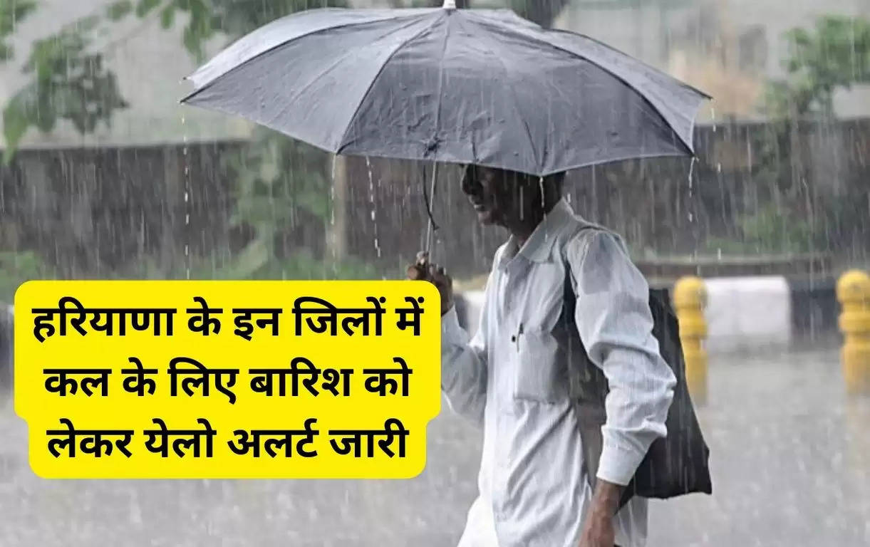 Haryana Weather Update 