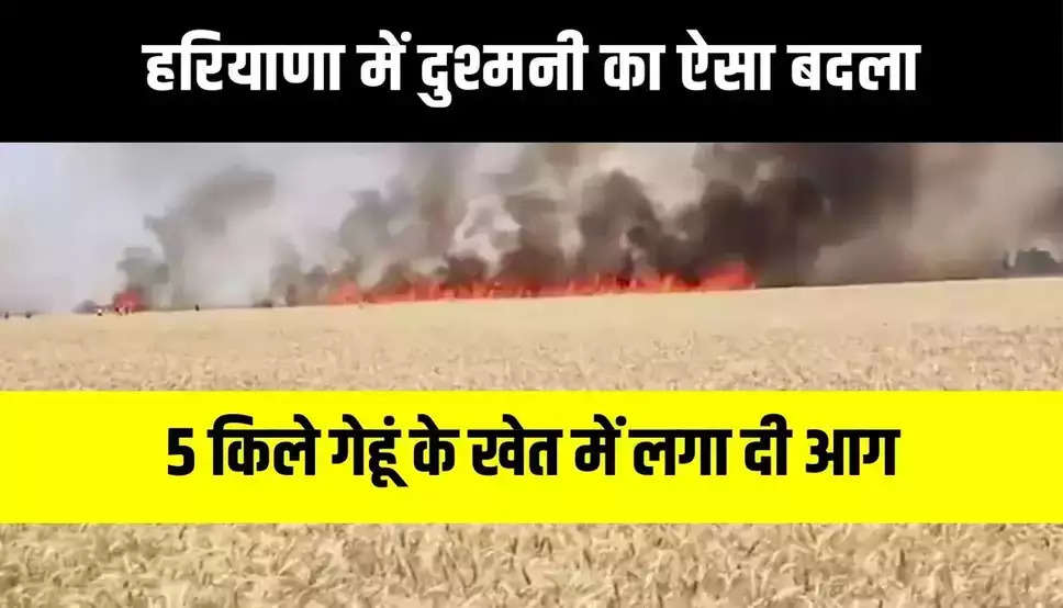 Haryana News:  हरियाणा में गेंहू के खेत पर लगी भीषण आग, फसल बचाने के चक्कर में किसान की मौत 
