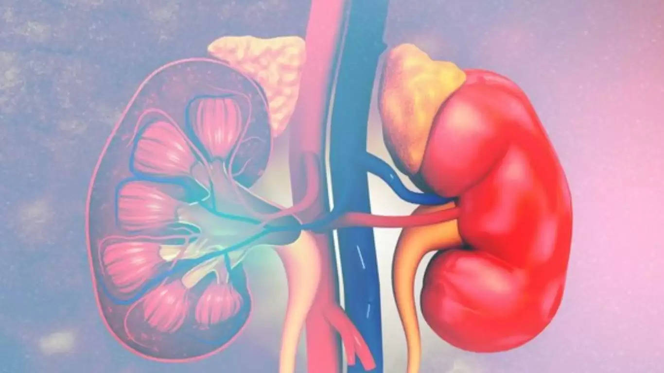 kidney Health Tips 