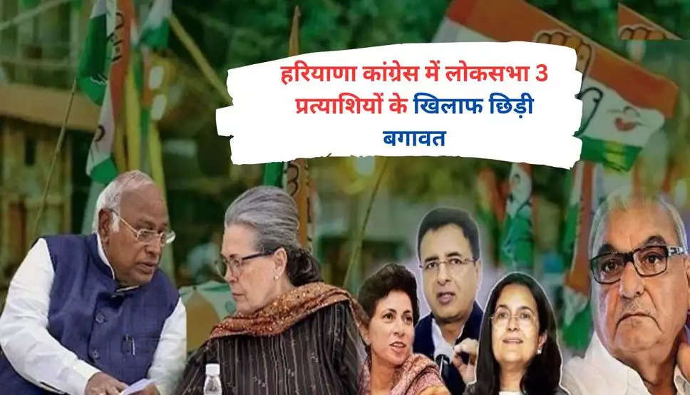 Haryana News: हरियाणा कांग्रेस में लोकसभा 3 प्रत्याशियों के खिलाफ छिड़ी बगावत, नाराज नेताओं ने दिया उम्मीदवार बदलने का अल्टीमेटम