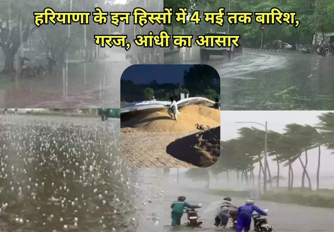 Haryana Weather Updates 