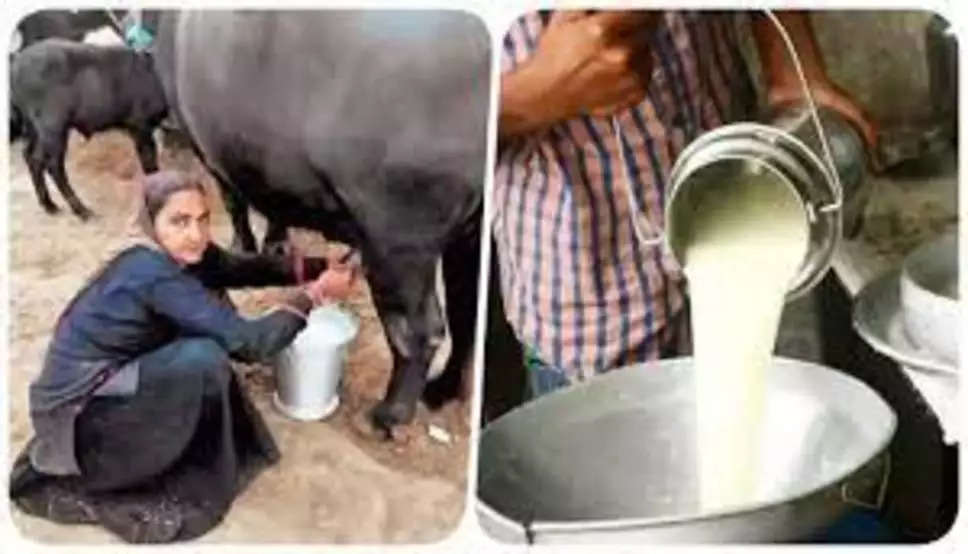 Success Story: गाय भैंस का दूध बेचकर लखपति बनी ये महिला, अपने दम पर खड़ा किया करोड़ों का कारोबार  