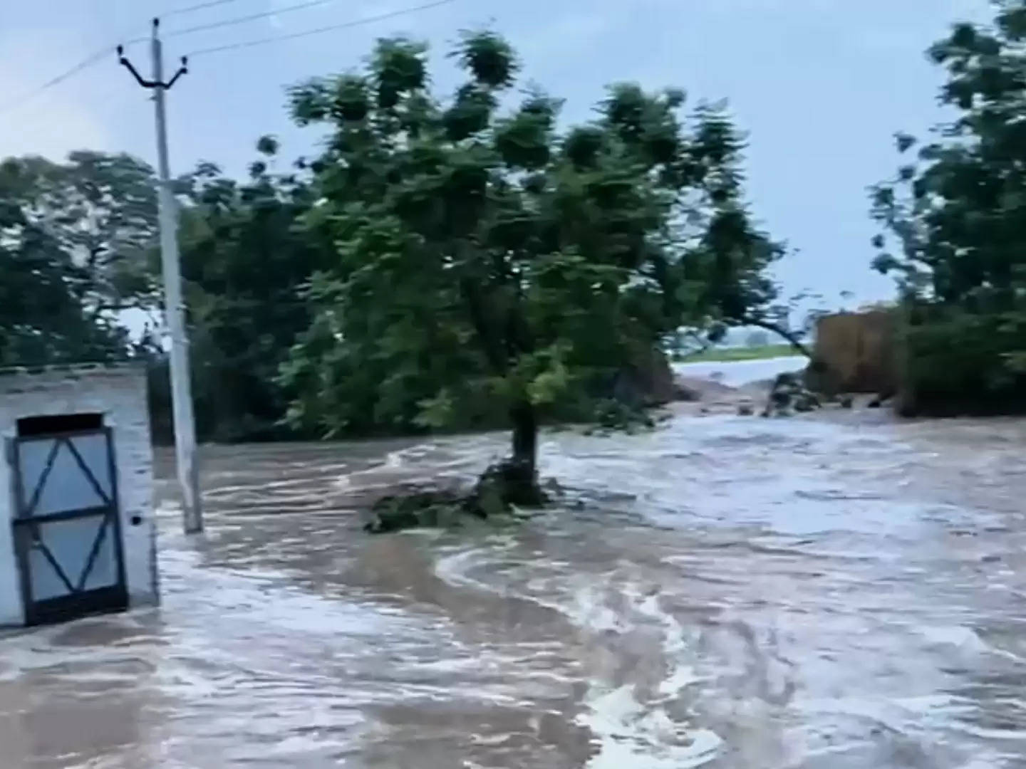 Haryana Flood Updates 