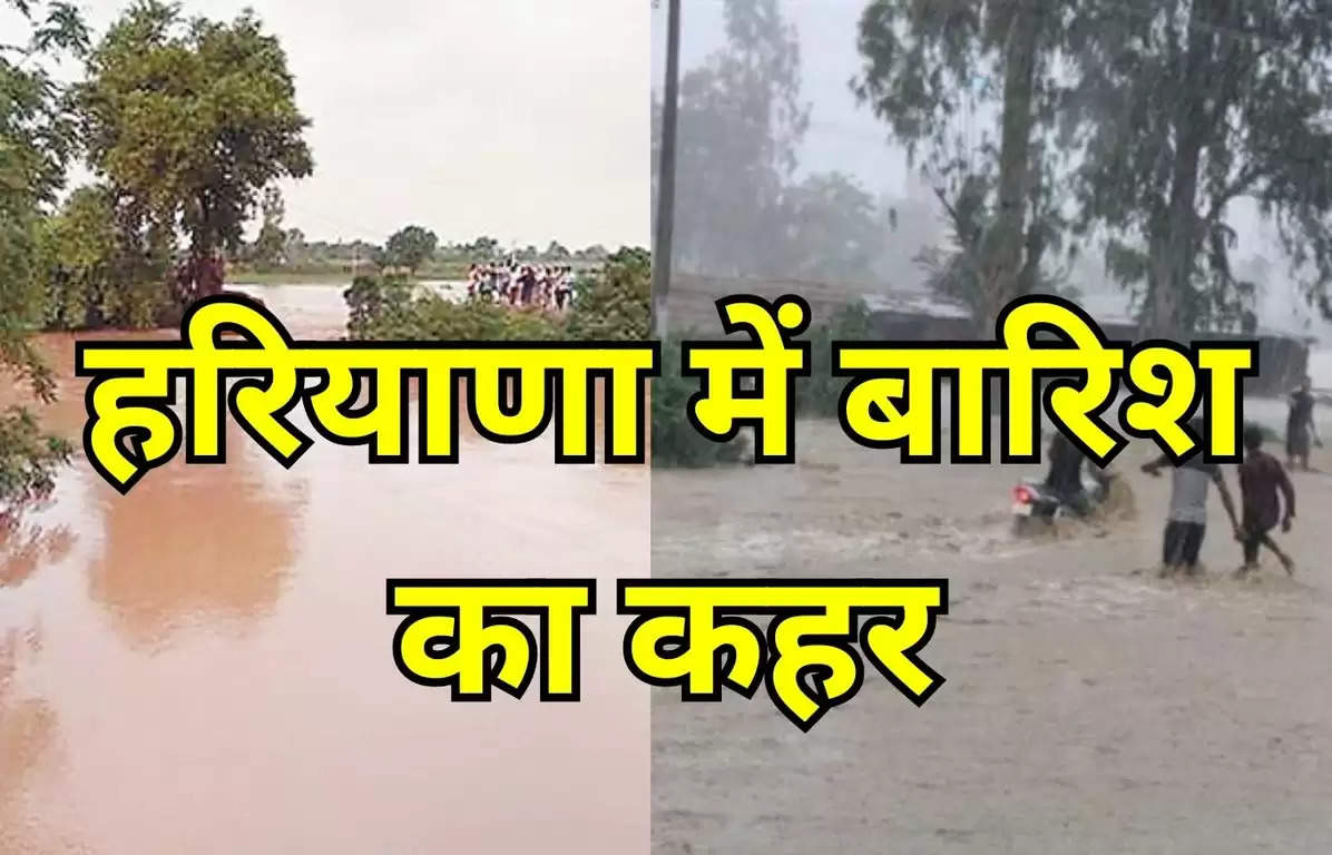 Haryana Flood News 