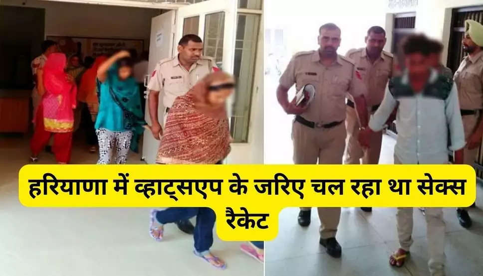 Haryana News: हरियाणा में व्हाट्सएप के जरिए चल रहा था सेक्स रैकेट, ग्राहक बनकर पहुंचा पुलिसकर्मी तो हुआ चौकानें वाला खुलासा  