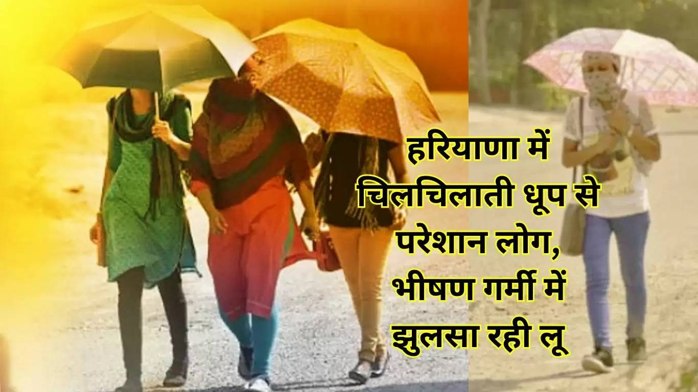 Haryana Weather Update 