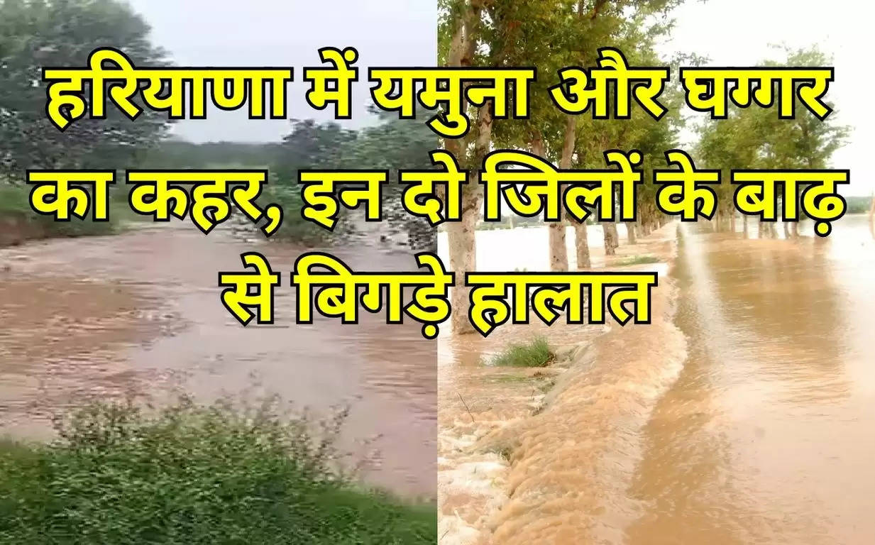 Haryana Flood  